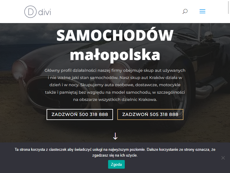 Skup samochód Kraków - auta używane i uszkodzone